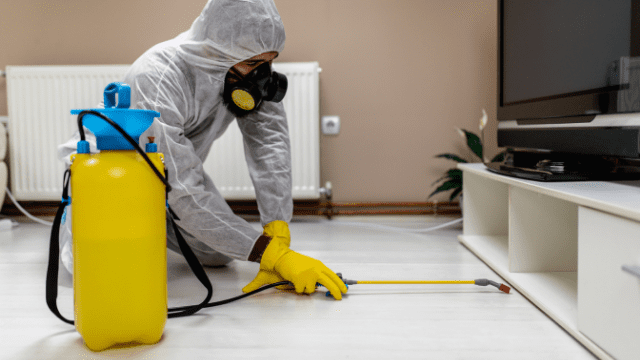 allergy-cleaning-services-hygiene-homes